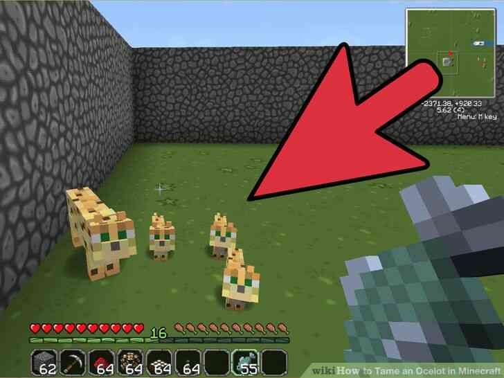 Image intitulé Apprivoiser un Ocelot dans Minecraft Étape 9